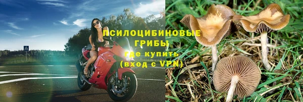а пвп мука Богородск