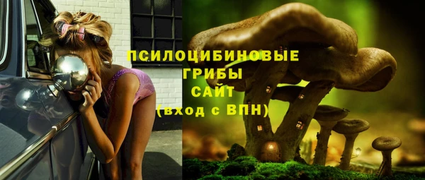 прущий лед Беломорск